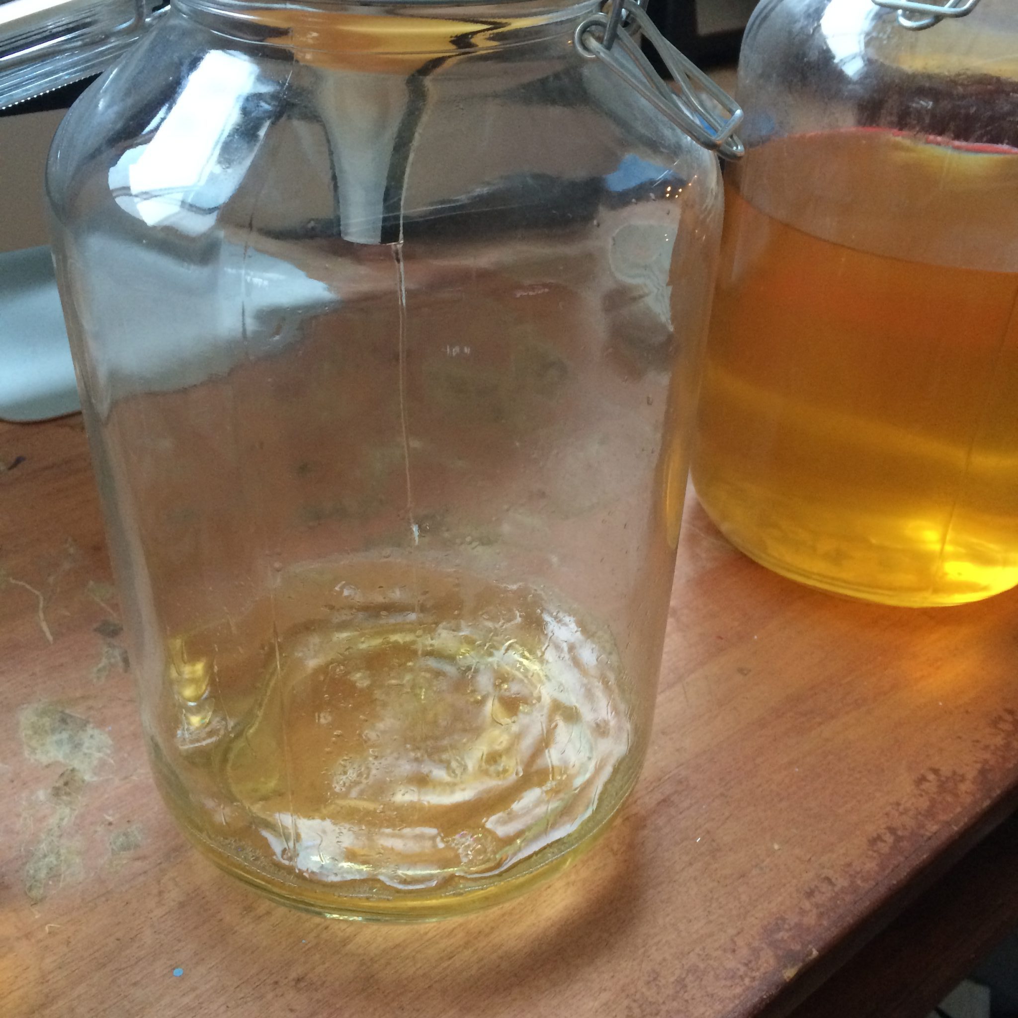 Limoncello Of Doom