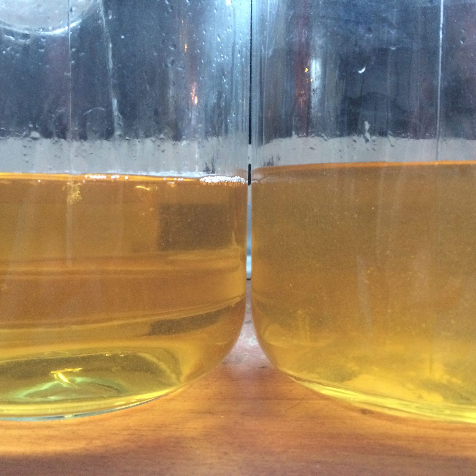 Limoncello Of Doom