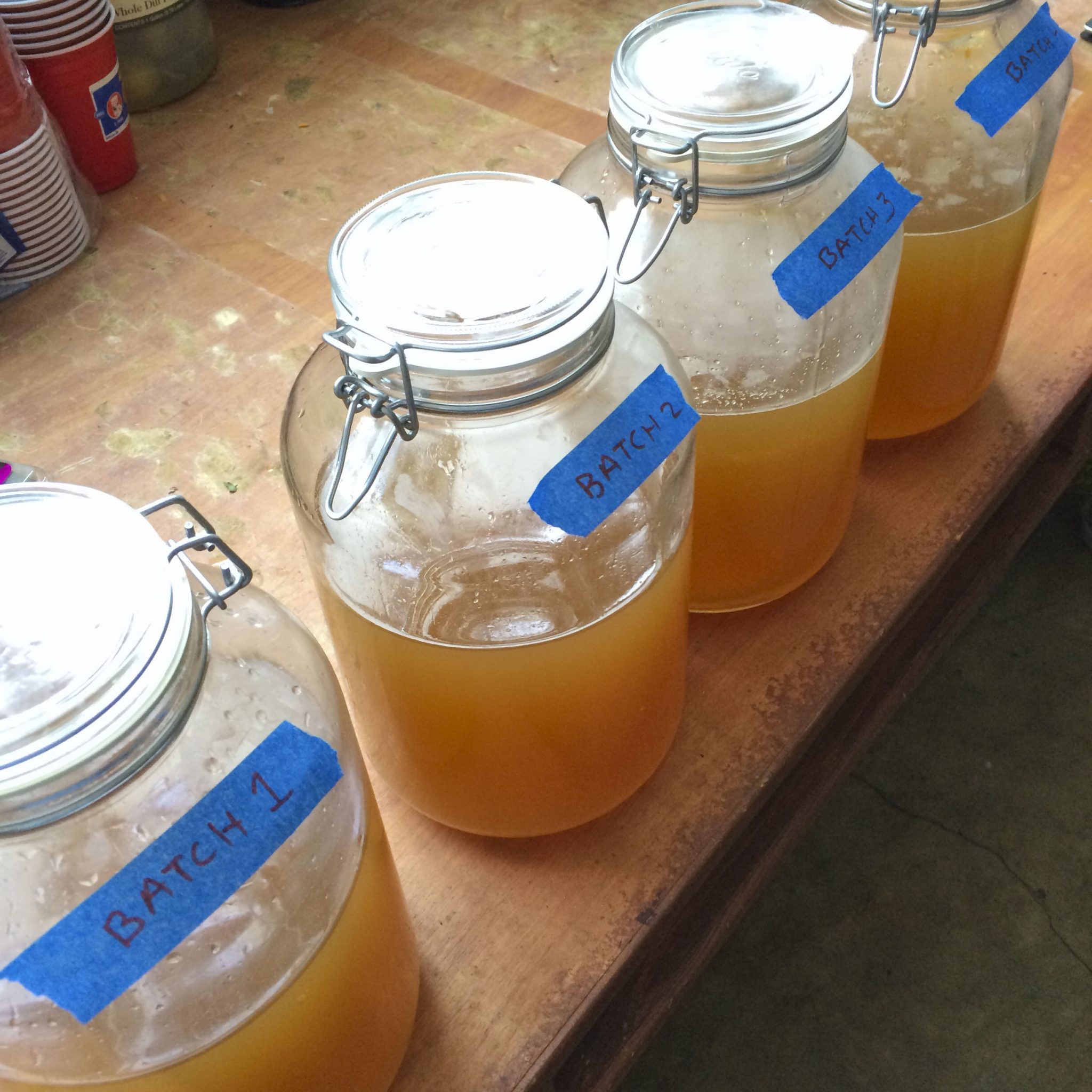 Limoncello Of Doom