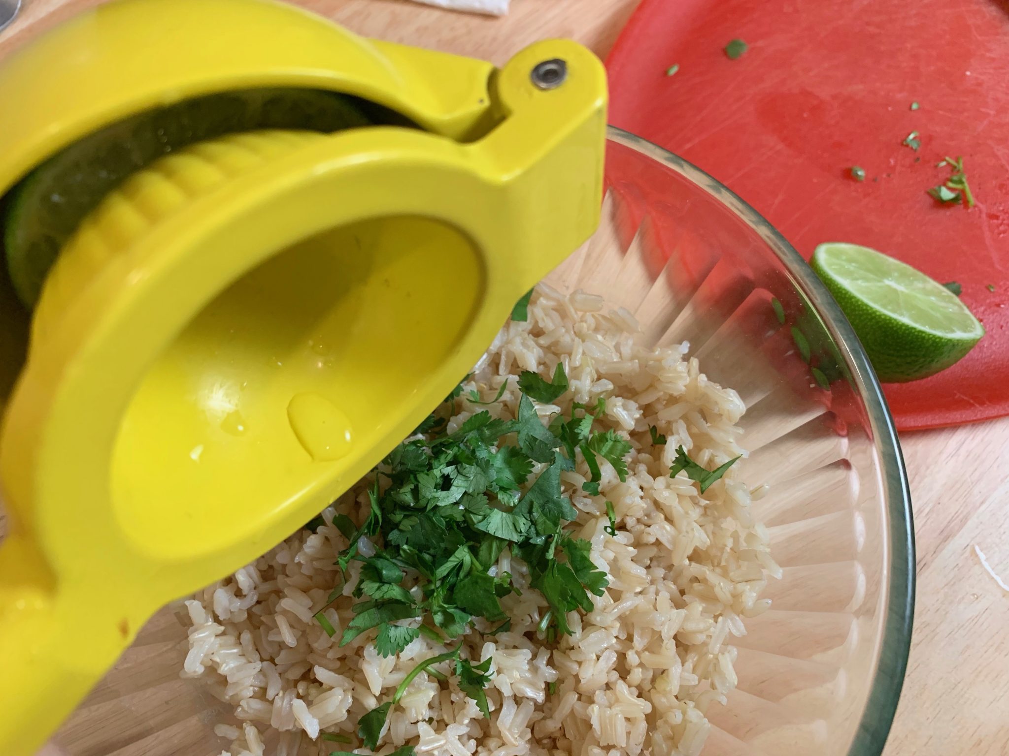 Crispy Carnitas Burrito Bowl